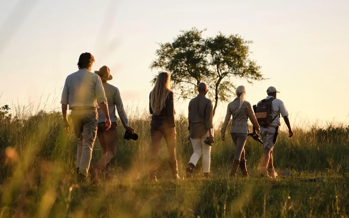 Group of guests walking through golden grassland at sunset