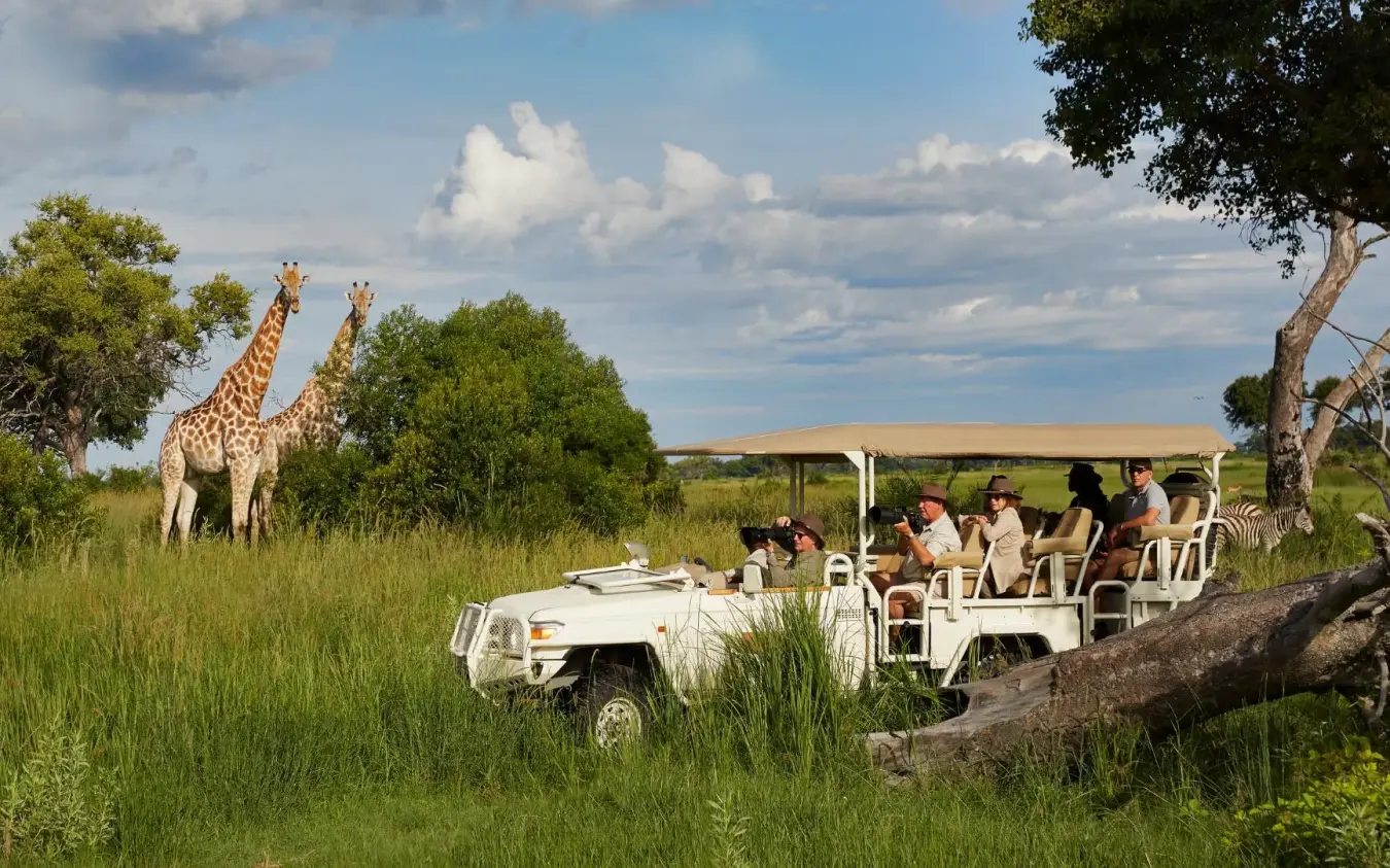 Open vehicle safari with giraffes visible in natural savanna landscape, Xigera Lodge, The Okavango Delta, Botswana