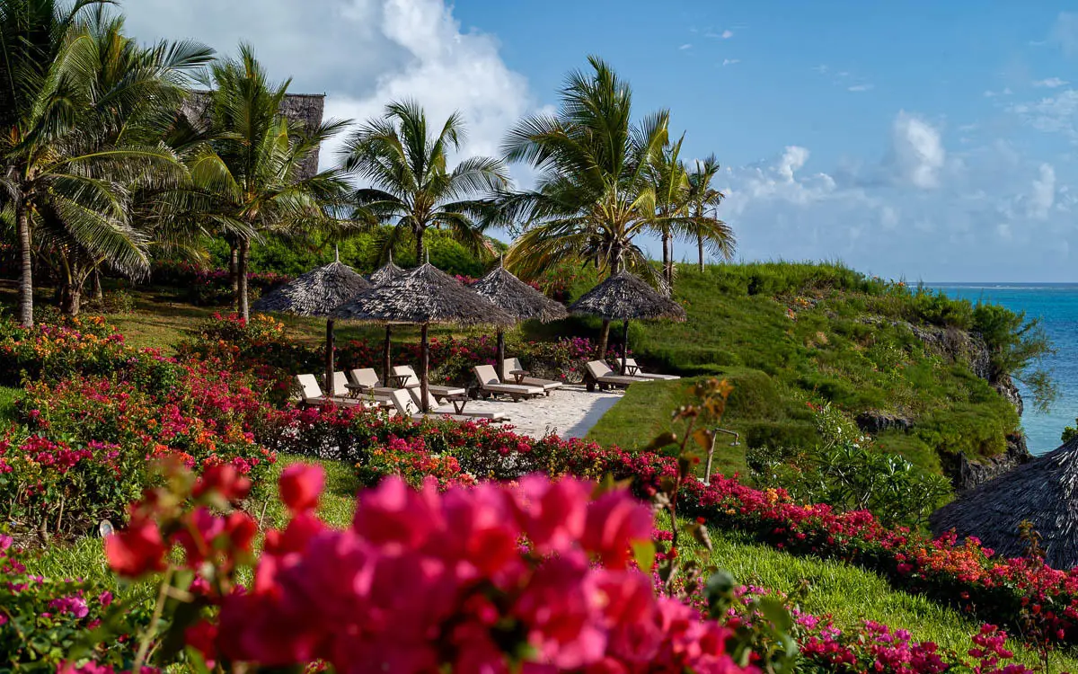 Beachfront lodge grounds with flowering bougainvillea and ocean view, Zawadi Hotel, Zanzibar & Pemba, Tanzania