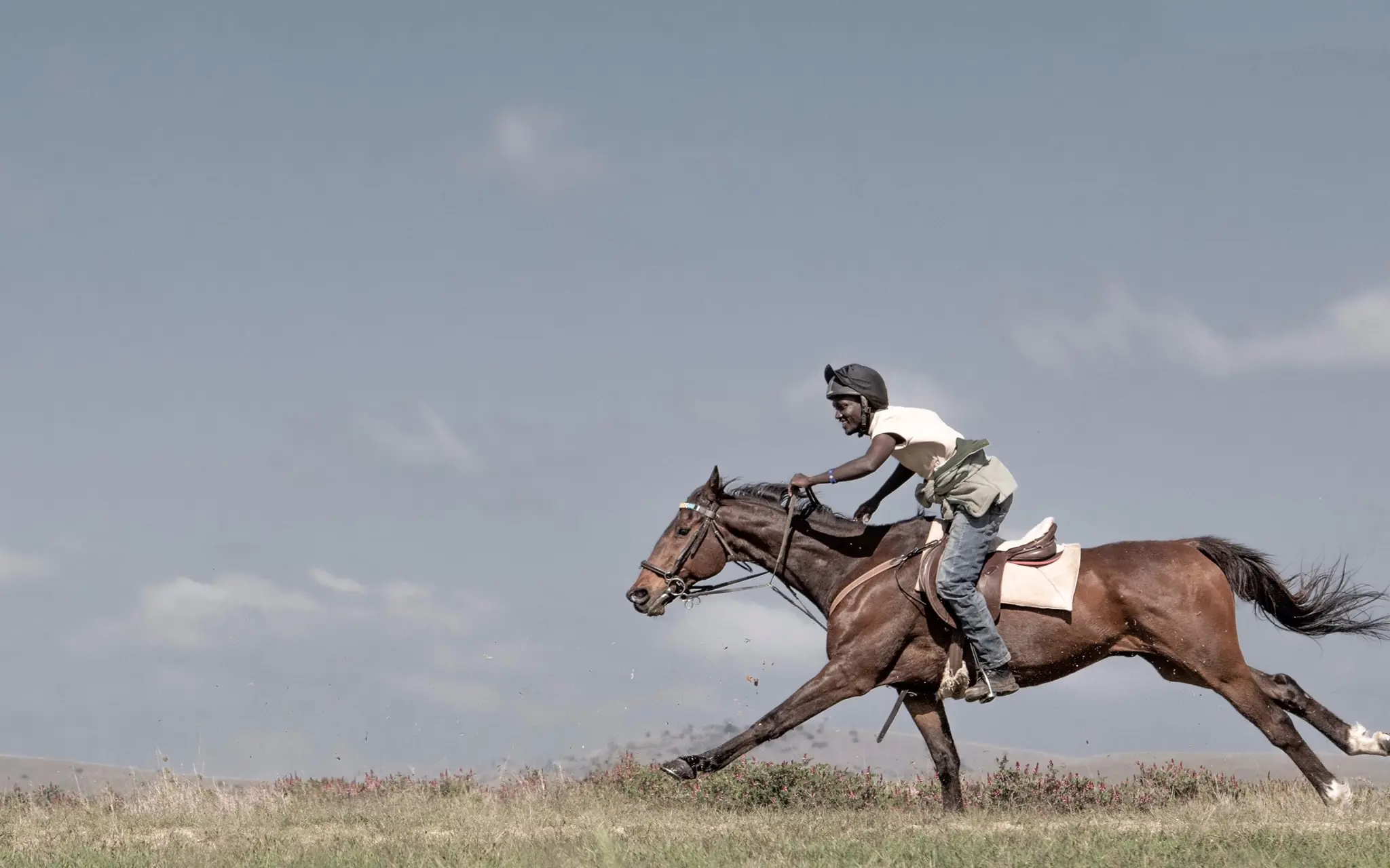 Rider on horseback galloping across open grassland, Borana Lodge, Laikipia Highlands, Kenya