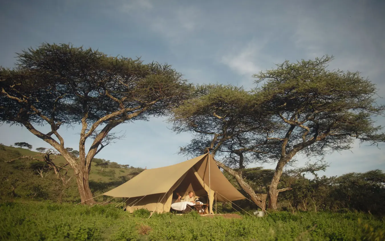 Luxury canvas tent pitched between acacia trees in grassland savanna, Charlie Sanjan, Lake Natron, Tanzania