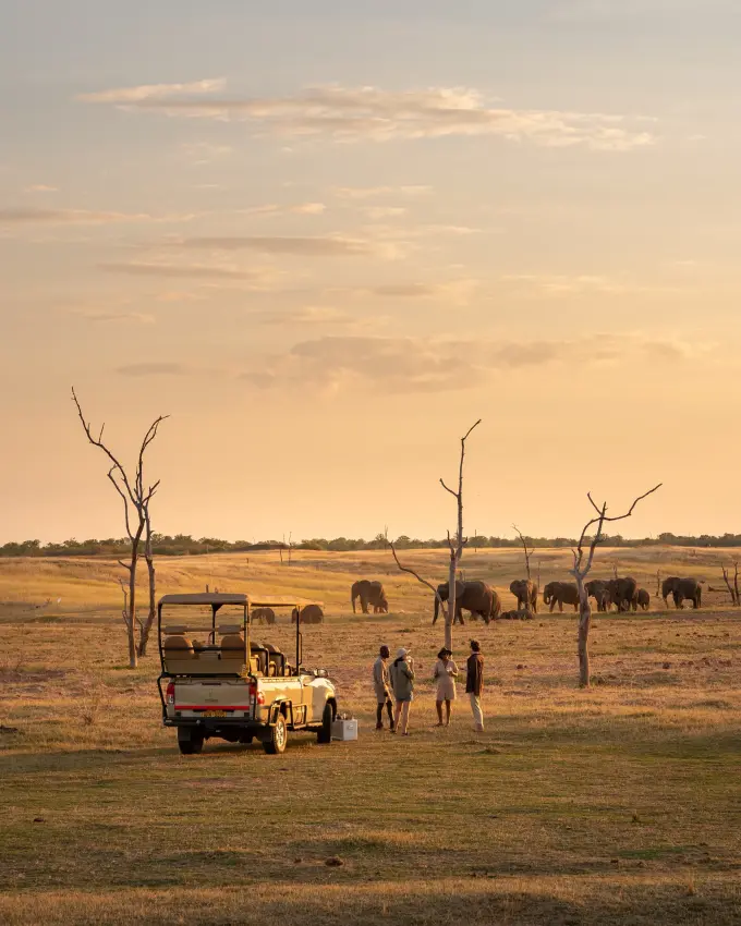 Game drive vehicle observing elephant herd in golden grassland at sunset, Fothergill Island, Matusadona National Park, Zimbabwe