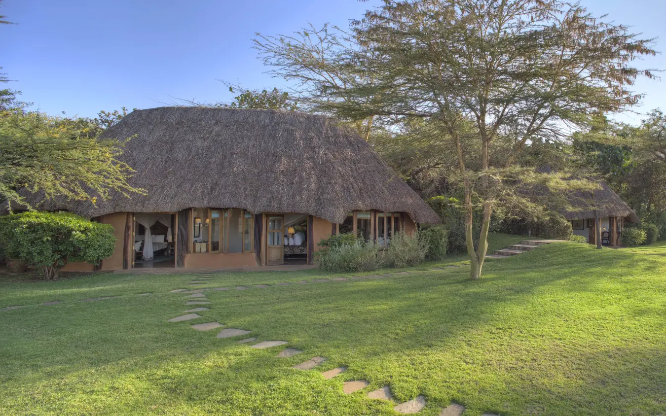 Thatched-roof lodge with manicured lawn and acacia trees at dusk, Kifaru House, Laikipia Highlands, Kenya