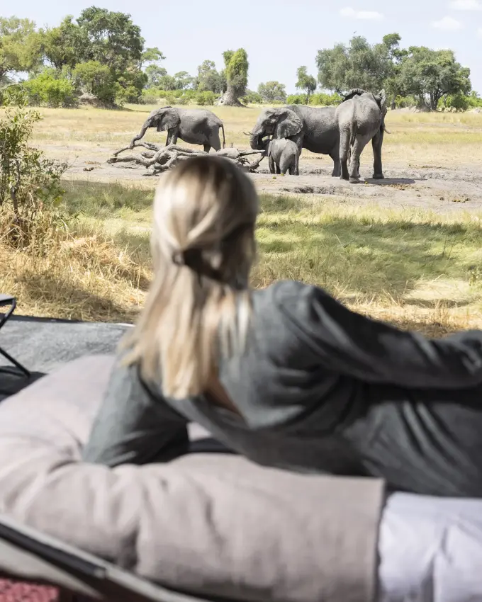 Guest relaxing in safari vehicle watching elephant family at waterhole, Kweene Trails, The Okavango Delta, Botswana