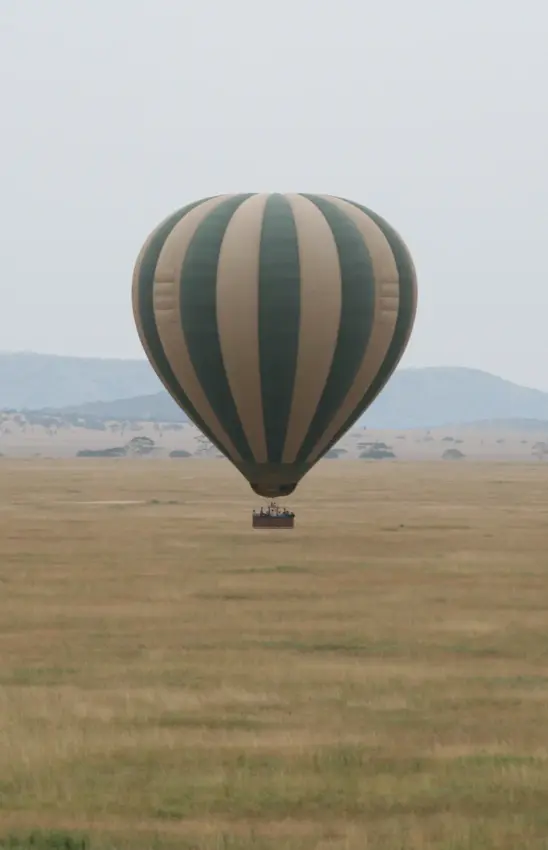 Hot air balloon with passengers floating above vast grassland plains, Ndutu Wilderness Camp, Serengeti National Park, Tanzania