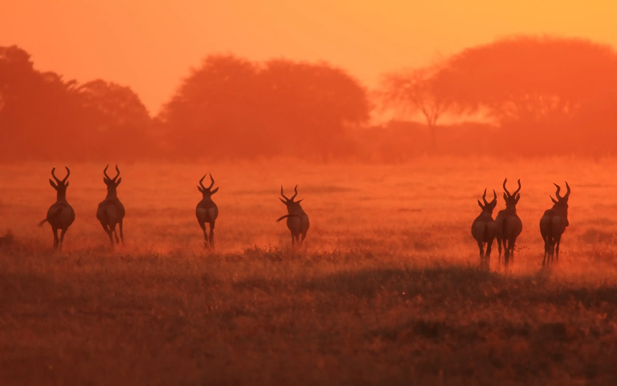 Ugalla River National Park