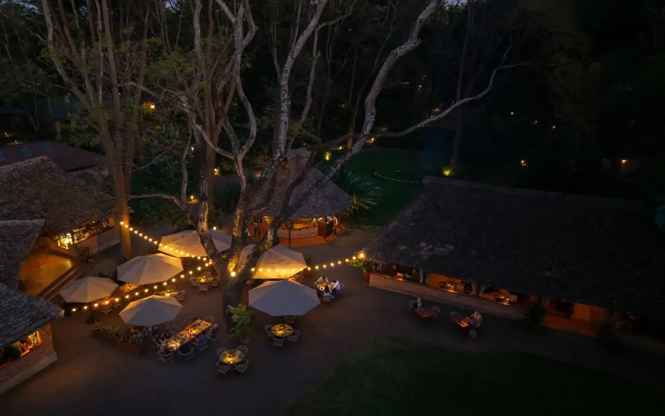 Outdoor dining area with illuminated umbrellas and trees at night, Rivertrees Country Inn, Arusha, Tanzania