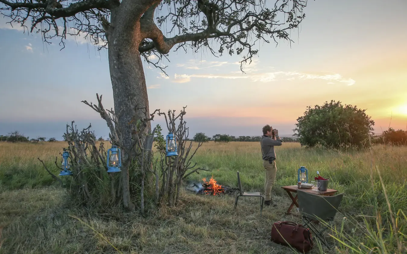 Campsite with lanterns and campfire under acacia tree at sunset, Serengeti North Wilderness Camp, Serengeti National Park, Tanzania