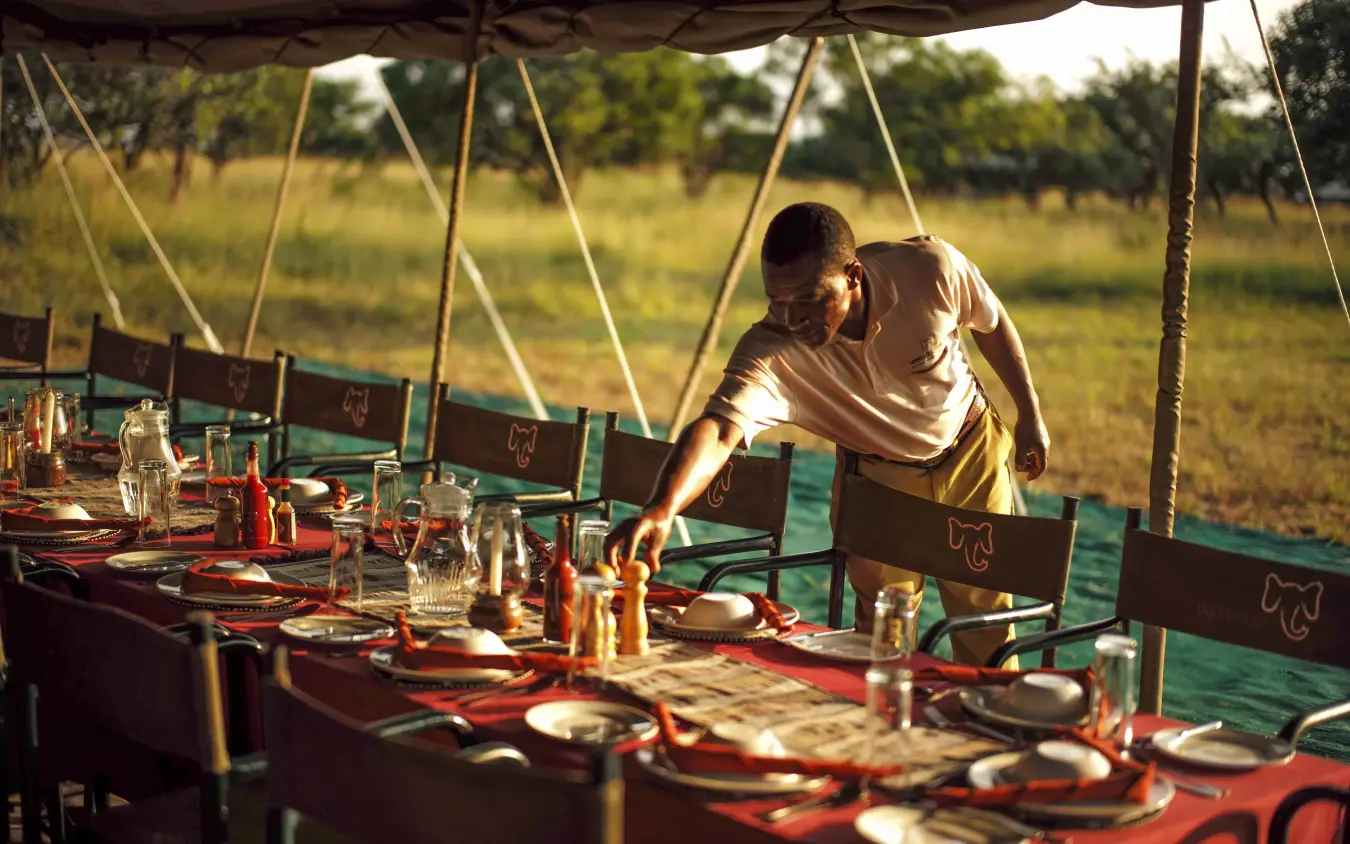 Server setting table for dinner under canvas tent in savanna landscape, Serengeti North Wilderness Camp, Serengeti National Park, Tanzania