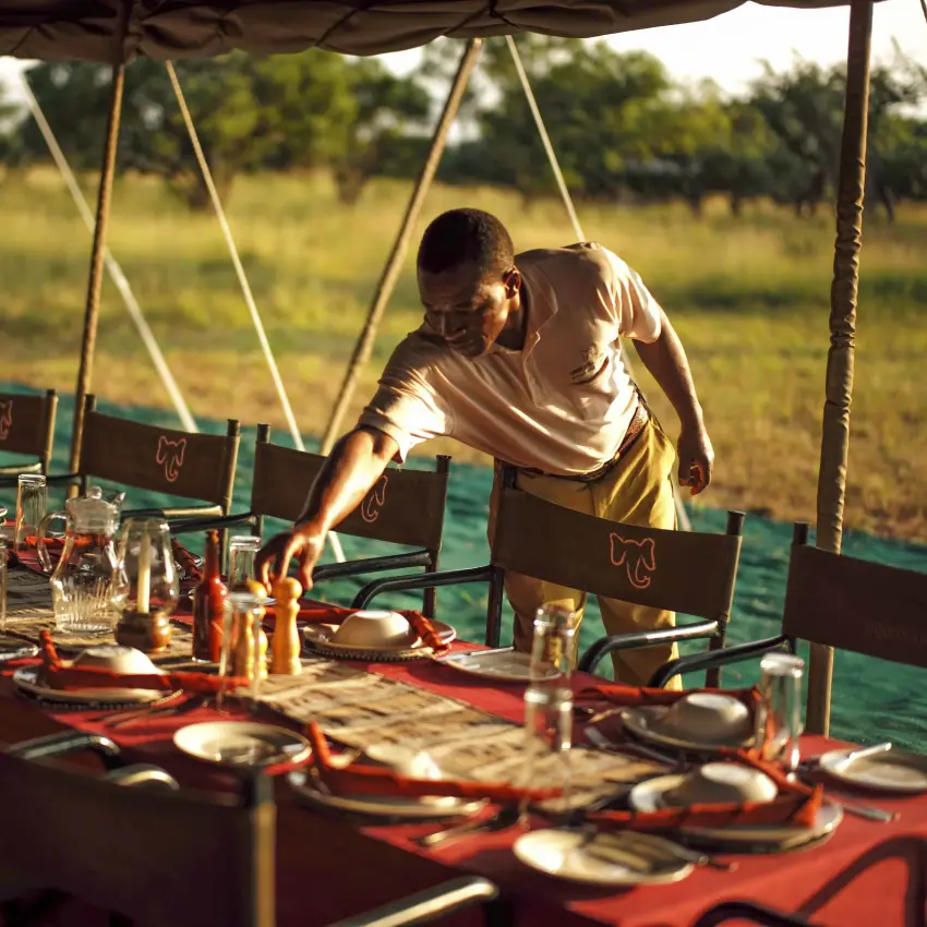 Server setting table for dinner under canvas tent in savanna landscape, Serengeti North Wilderness Camp, Serengeti National Park, Tanzania