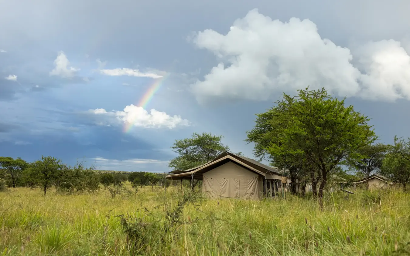 Luxury safari tents in savanna grassland with acacia trees and rainbow, Serengeti Wilderness Camp, Serengeti National Park, Tanzania