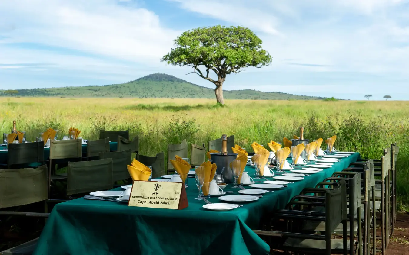 Outdoor dining table set up in savanna grassland with acacia tree, Serengeti Wilderness Camp, Serengeti National Park, Tanzania