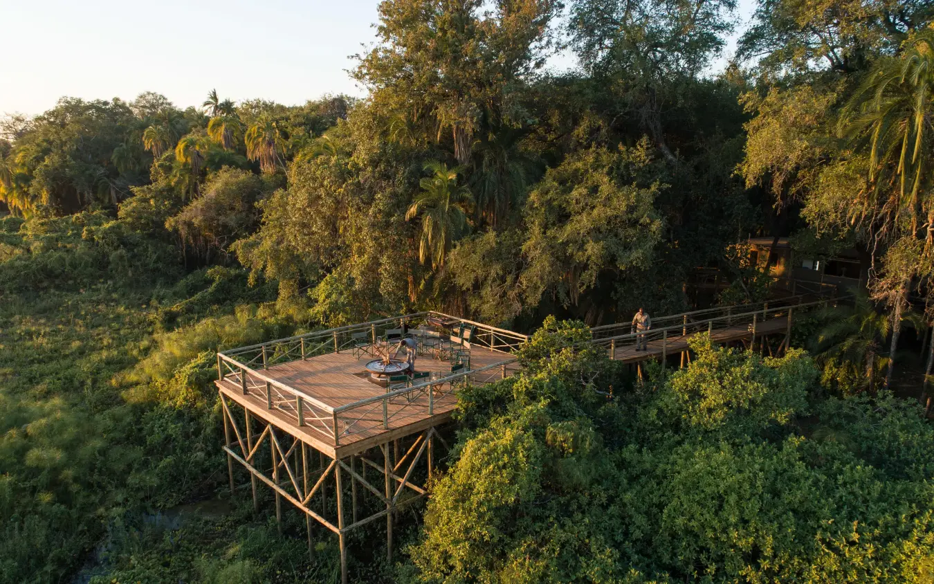 Elevated wooden deck overlooking dense riverine forest canopy, Setari, The Okavango Delta, Botswana