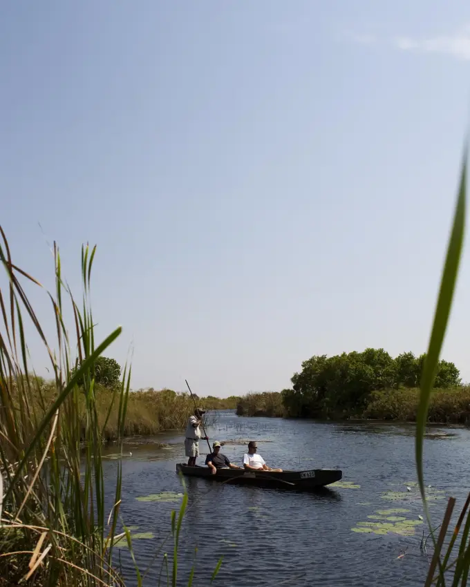 Guests in traditional boat on waterway surrounded by reeds, Shinde, The Okavango Delta, Botswana
