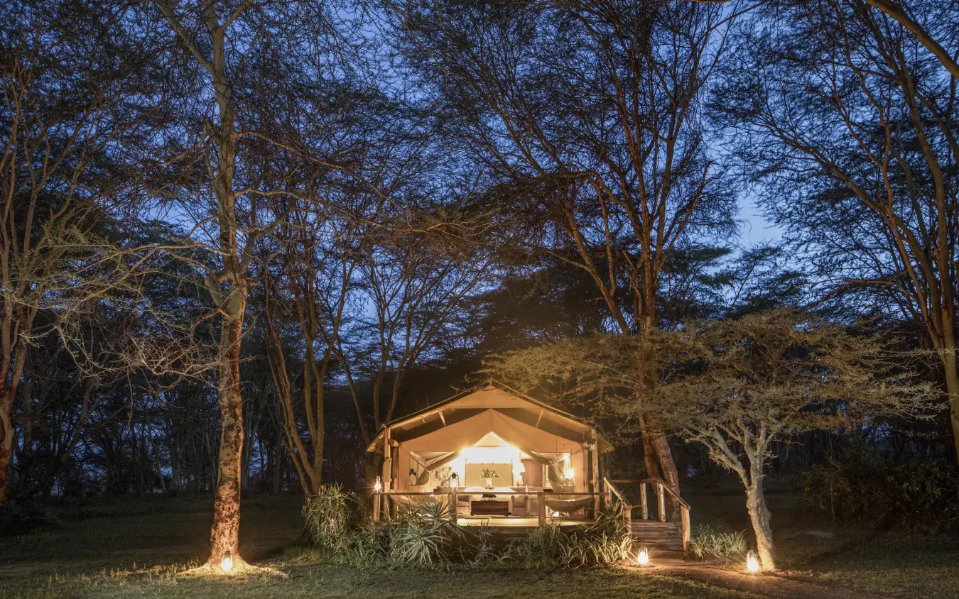 Illuminated safari tent in woodland setting at dusk, Sirikoi, Laikipia Highlands, Kenya
