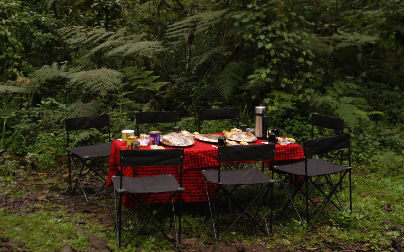 Camping picnic setup with red plaid cloth and folding chairs in forest clearing