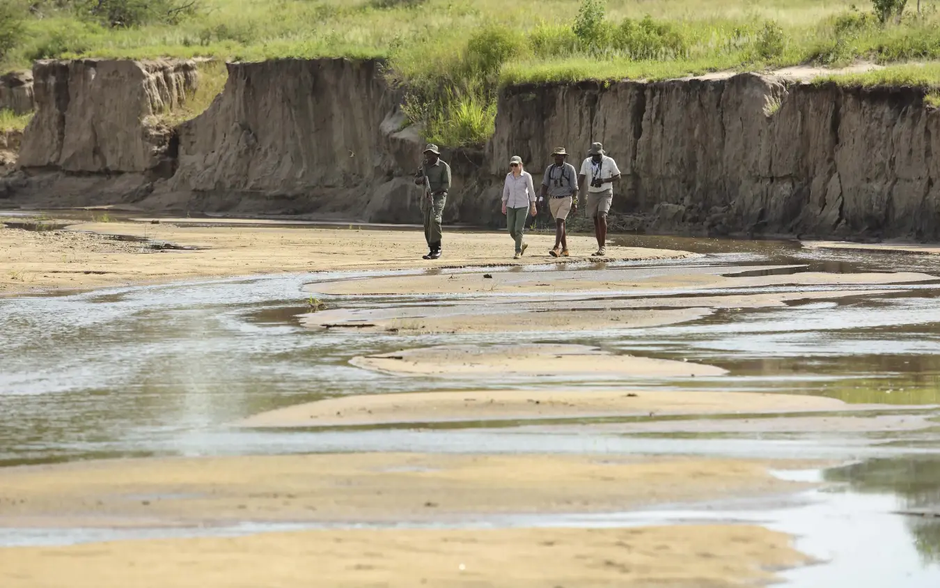 Guides walking with guests across exposed riverbed with eroded clay banks, Tarangire Ndovu Tented Lodge, Tarangire National Park, Tanzania