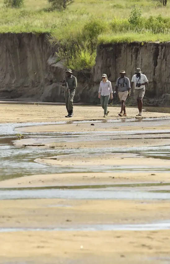 Guide leading group of tourists on walking safari along riverbed, Tarangire Ndovu Tented Lodge, Tarangire National Park, Tanzania