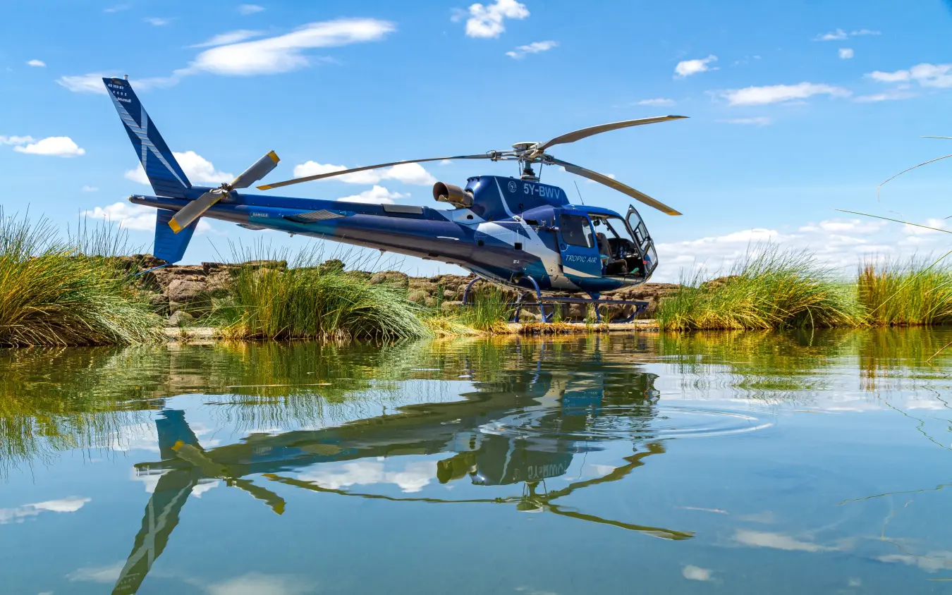 Blue helicopter parked on riverbank beside wetland vegetation