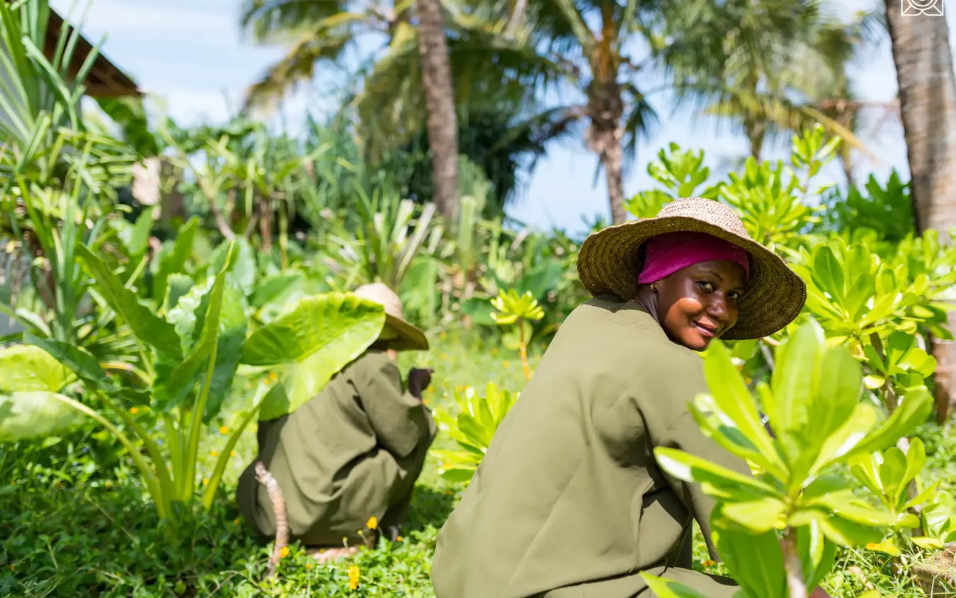Guide demonstrates spice plants in lush tropical garden, Zuri Zanzibar, Zanzibar & Pemba, Tanzania