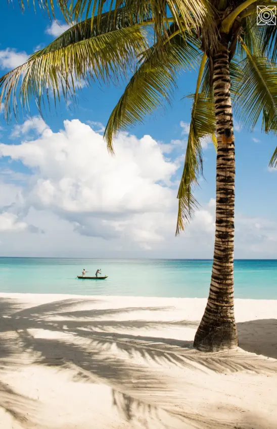 Palm tree casting shadow on white sand beach with turquoise water and small boat, Zuri Zanzibar, Zanzibar & Pemba, Tanzania