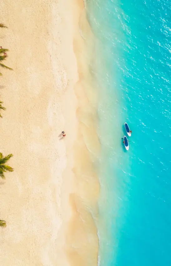 Tropical beach with palm trees and turquoise ocean water, Ocean Boutique Hotel, Zanzibar & Pemba, Tanzania