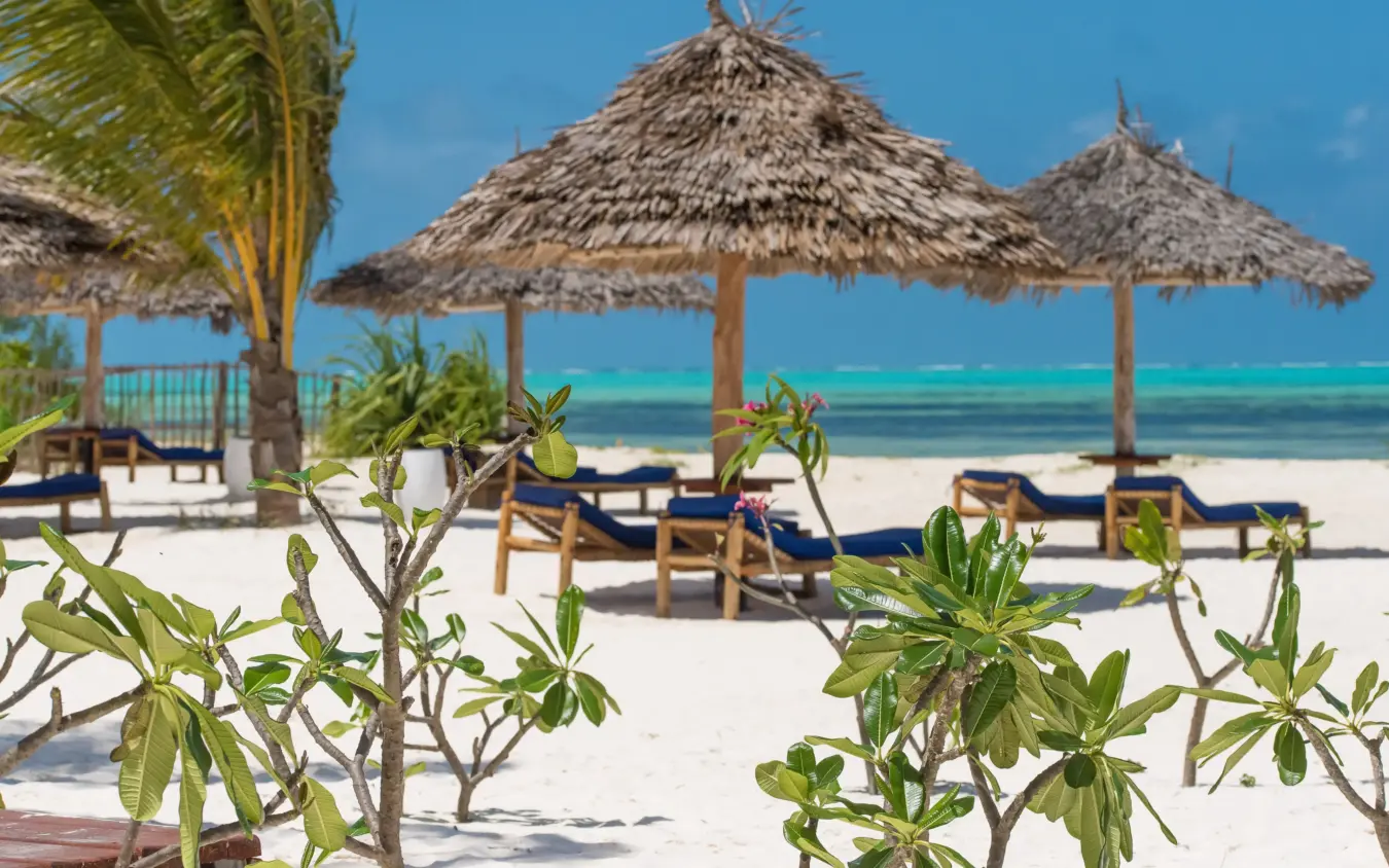 Amani Boutique Hotel, Zanzibar & Pemba, Tanzania