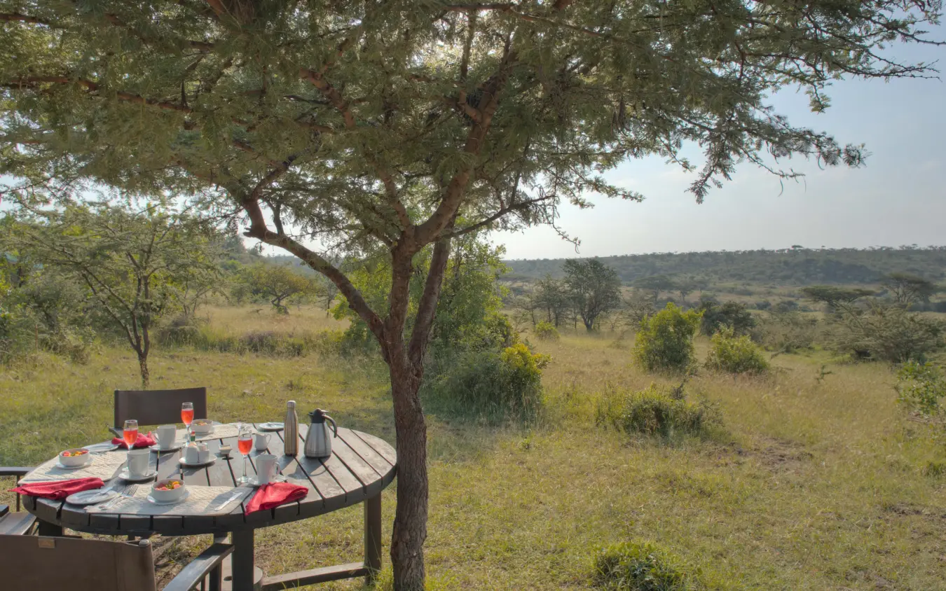 Outdoor dining table set beneath acacia tree overlooking savanna landscape, Basecamp Wilderness, Maasai Mara, Kenya