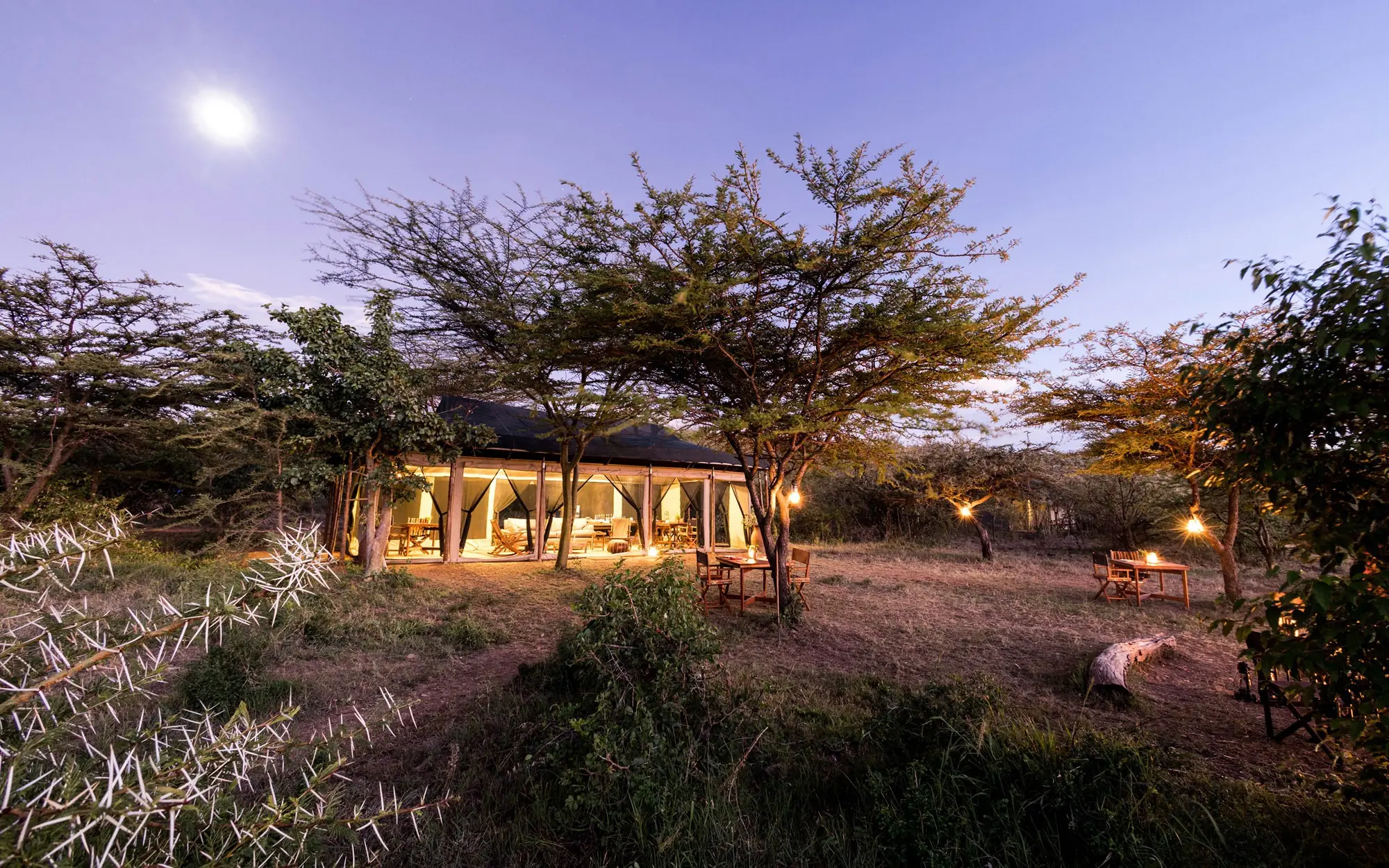 Illuminated safari lodge tent beneath acacia trees at dusk, Basecamp Wilderness, Maasai Mara, Kenya