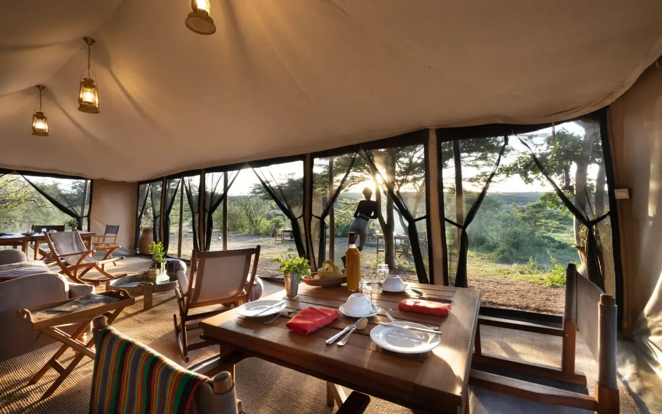 Safari lodge interior with dining area overlooking forested valley, Basecamp Wilderness, Maasai Mara, Kenya