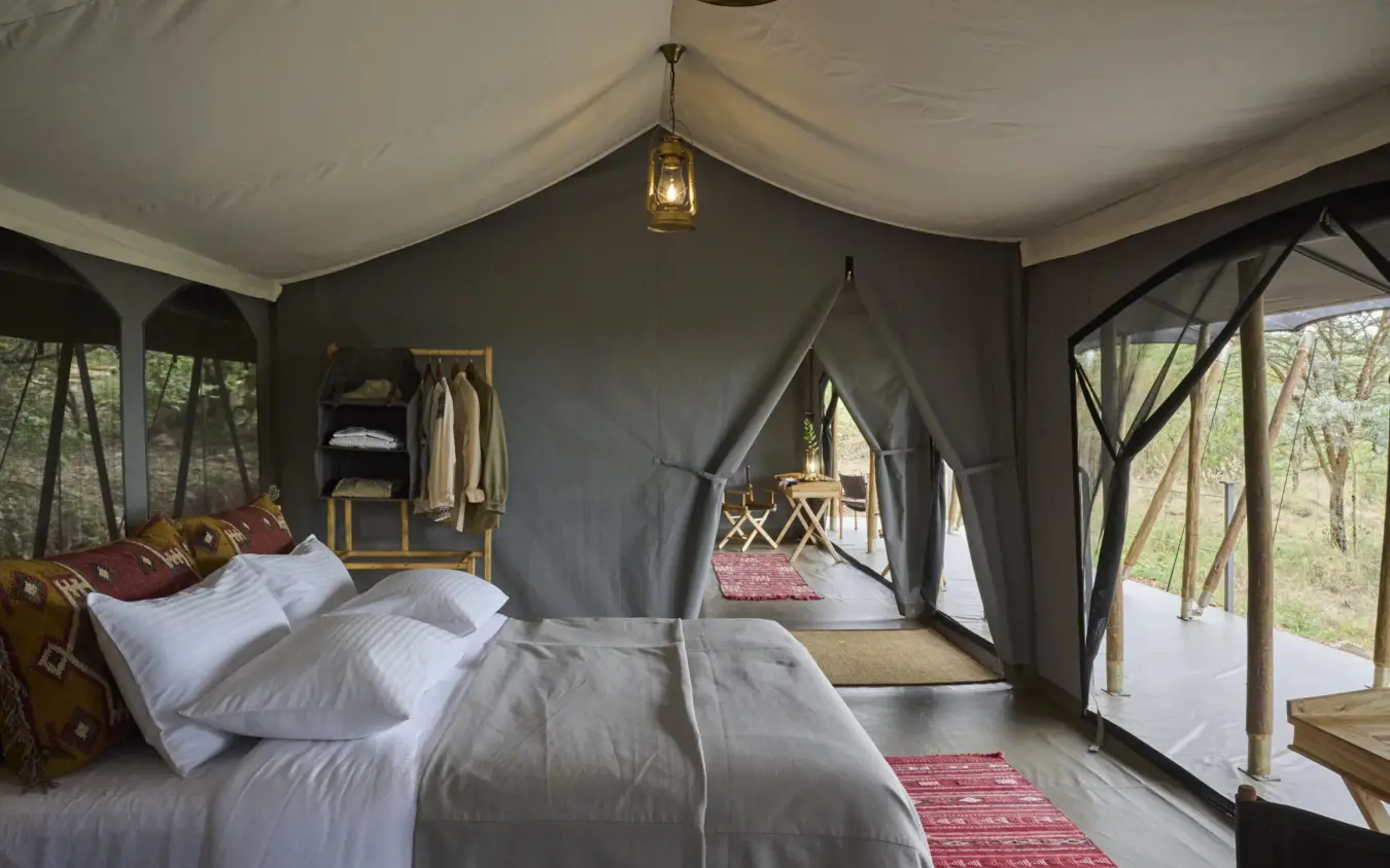 Luxury safari tent interior with bed and woodland views through windows, Basecamp Wilderness, Maasai Mara, Kenya