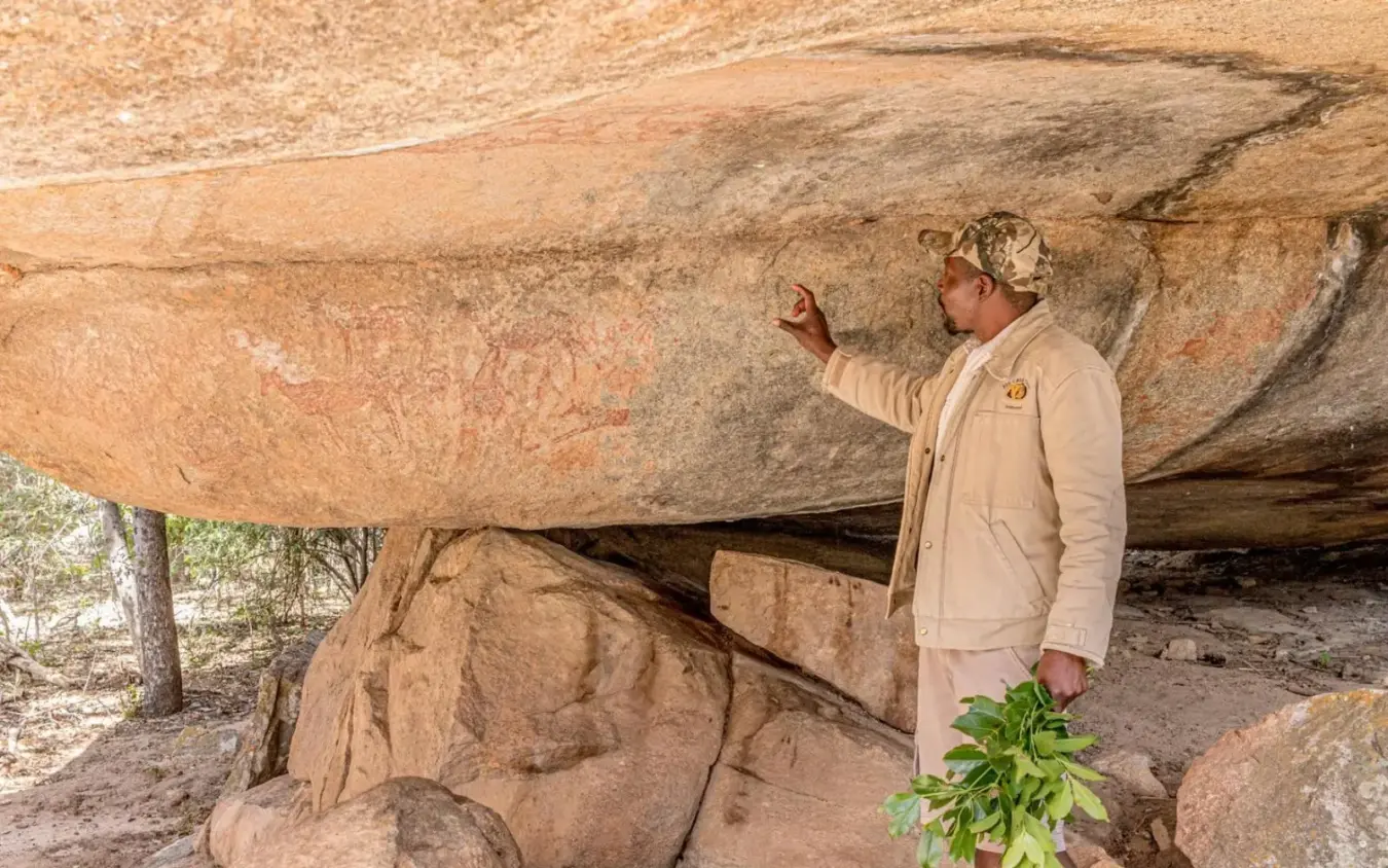 Guide examining ancient rock art under natural stone shelter, Big Cave Camp, Matobo, Zimbabwe