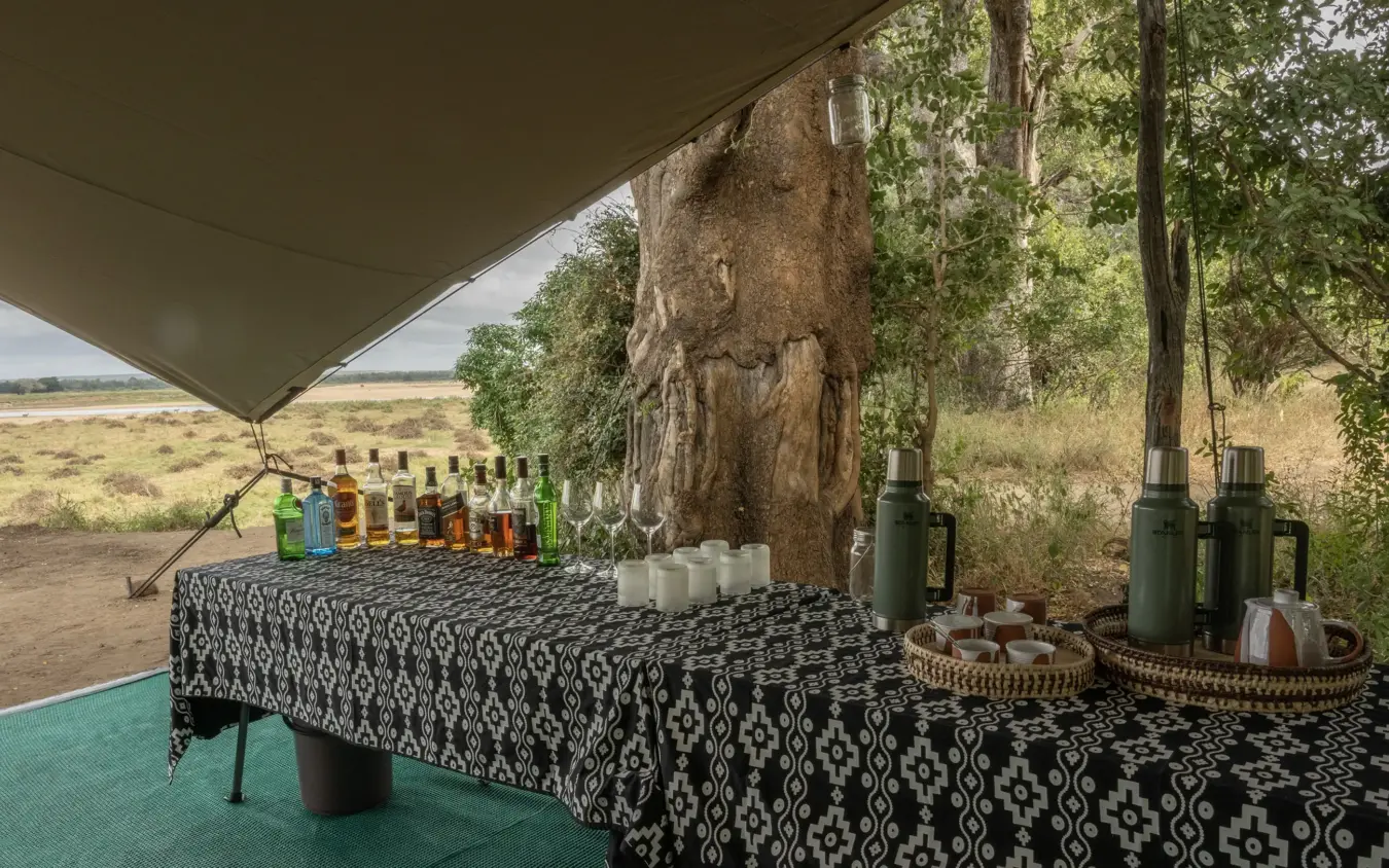 Outdoor bar setup beneath ancient tree with savanna landscape view, Chilo Gorge Safari Lodge, Gonarezhou & Malilangwe, Zimbabwe