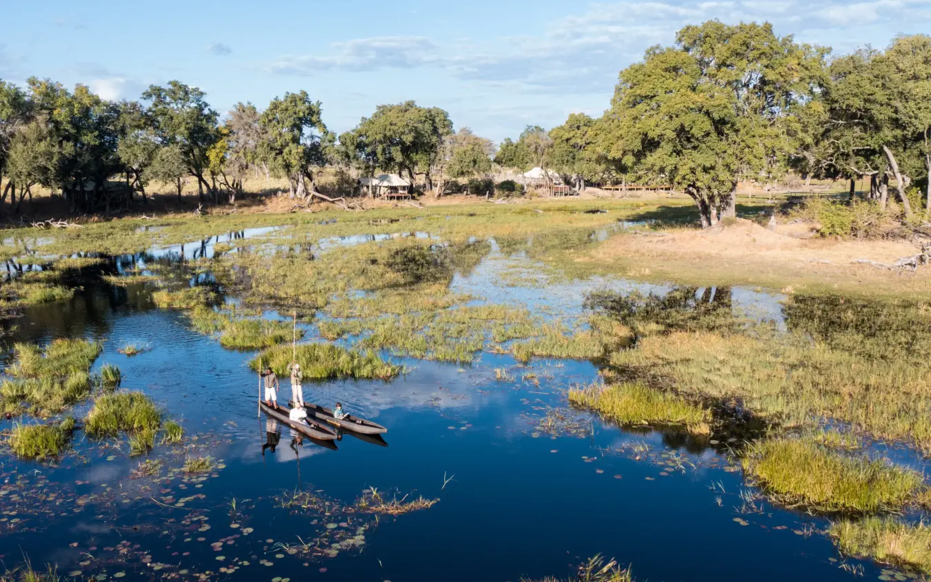 Traditional wooden boat on waterway through wetland vegetation and woodland, Duba Explorers Camp, The Okavango Delta, Botswana