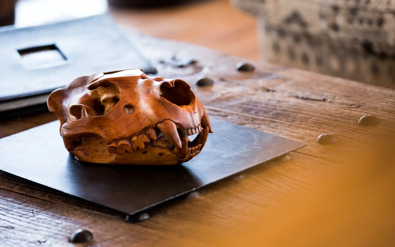 Carved wooden animal skull on desk with paperwork, Duba Explorers Camp, The Okavango Delta, Botswana