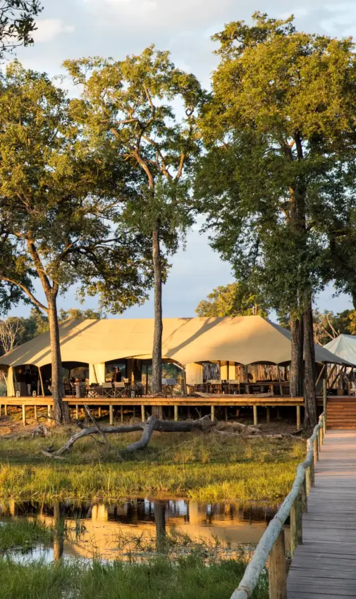 Duba Explorers Camp