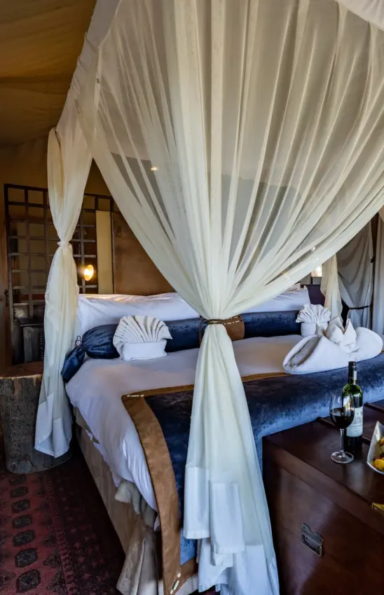 Four-poster canopy bed with white drapes and blue velvet bedding in luxury suite, Duba Explorers Camp, The Okavango Delta, Botswana