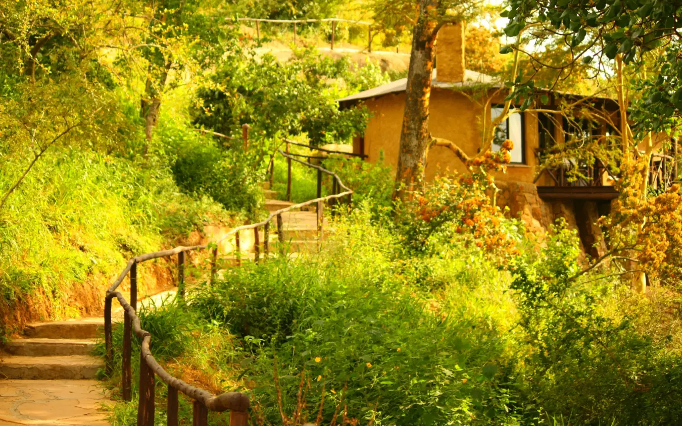 Wooden pathway winding through lush green forest toward rustic lodge building, The Emakoko, Nairobi, Kenya