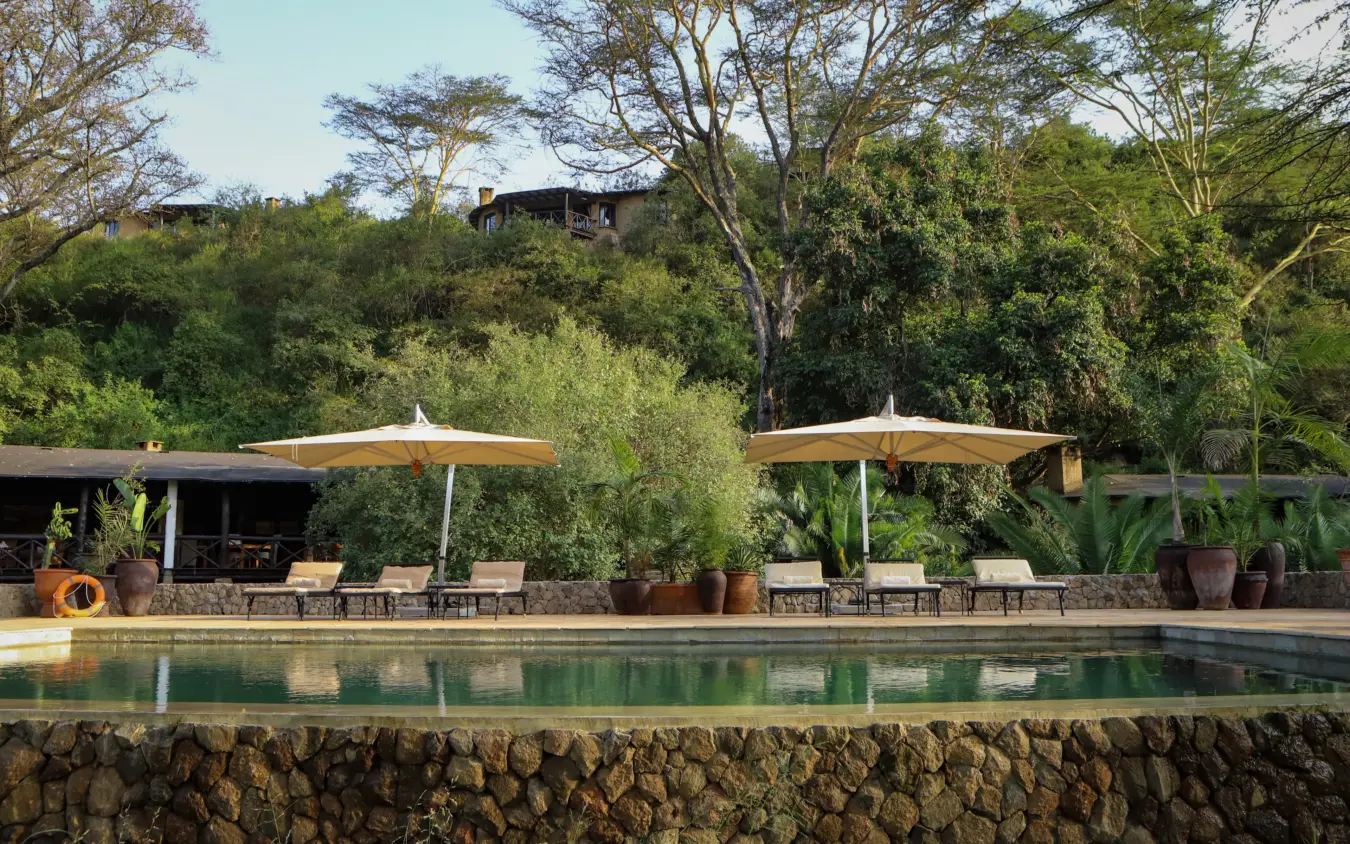 Resort pool with stone terrace and shade umbrellas overlooking lush woodland, The Emakoko, Nairobi, Kenya