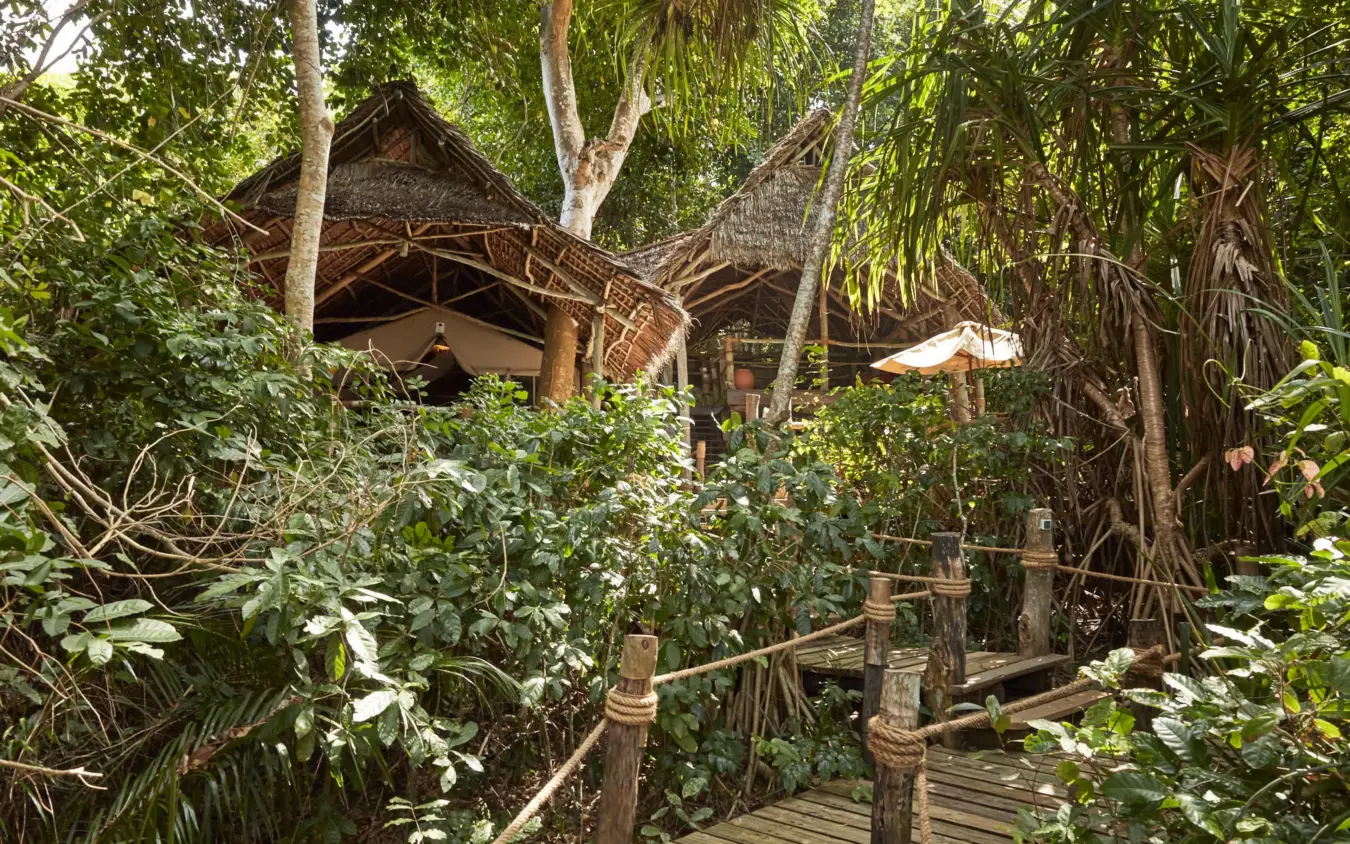 Wooden bungalows nestled among lush tropical vegetation, Fundu Lagoon, Zanzibar & Pemba, Tanzania