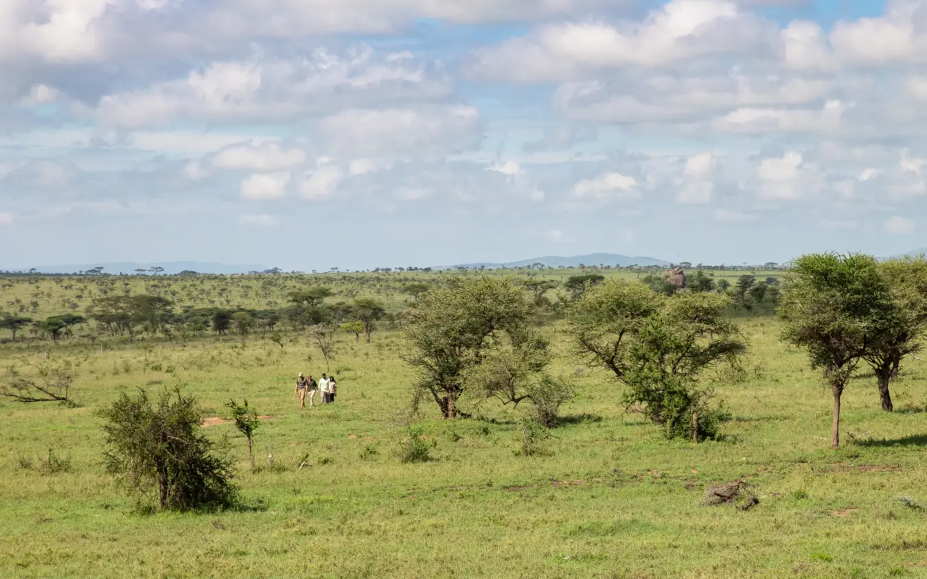 Tourists on horseback riding through open grassland savanna, Hamerkop House, Arusha, Tanzania