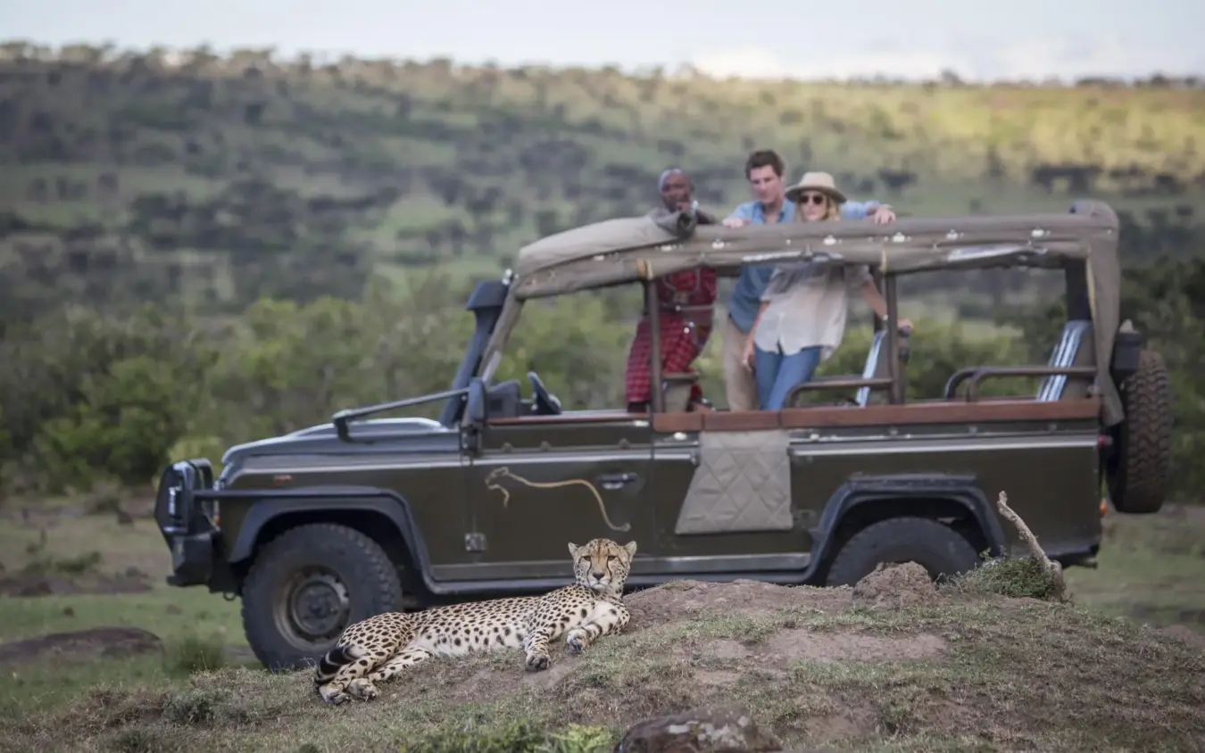 Safari vehicle with guests observing leopard on savanna game drive, Hemingways River Camp Mara, Maasai Mara, Kenya