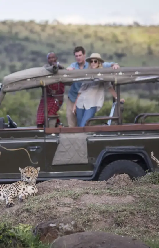 Safari vehicle with guests observing leopard on savanna game drive, Hemingways River Camp Mara, Maasai Mara, Kenya