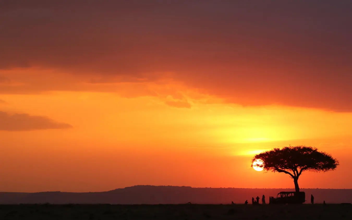 Silhouetted acacia tree with gathered guests at sunset on savanna plain, Hemingways River Camp Mara, Maasai Mara, Kenya