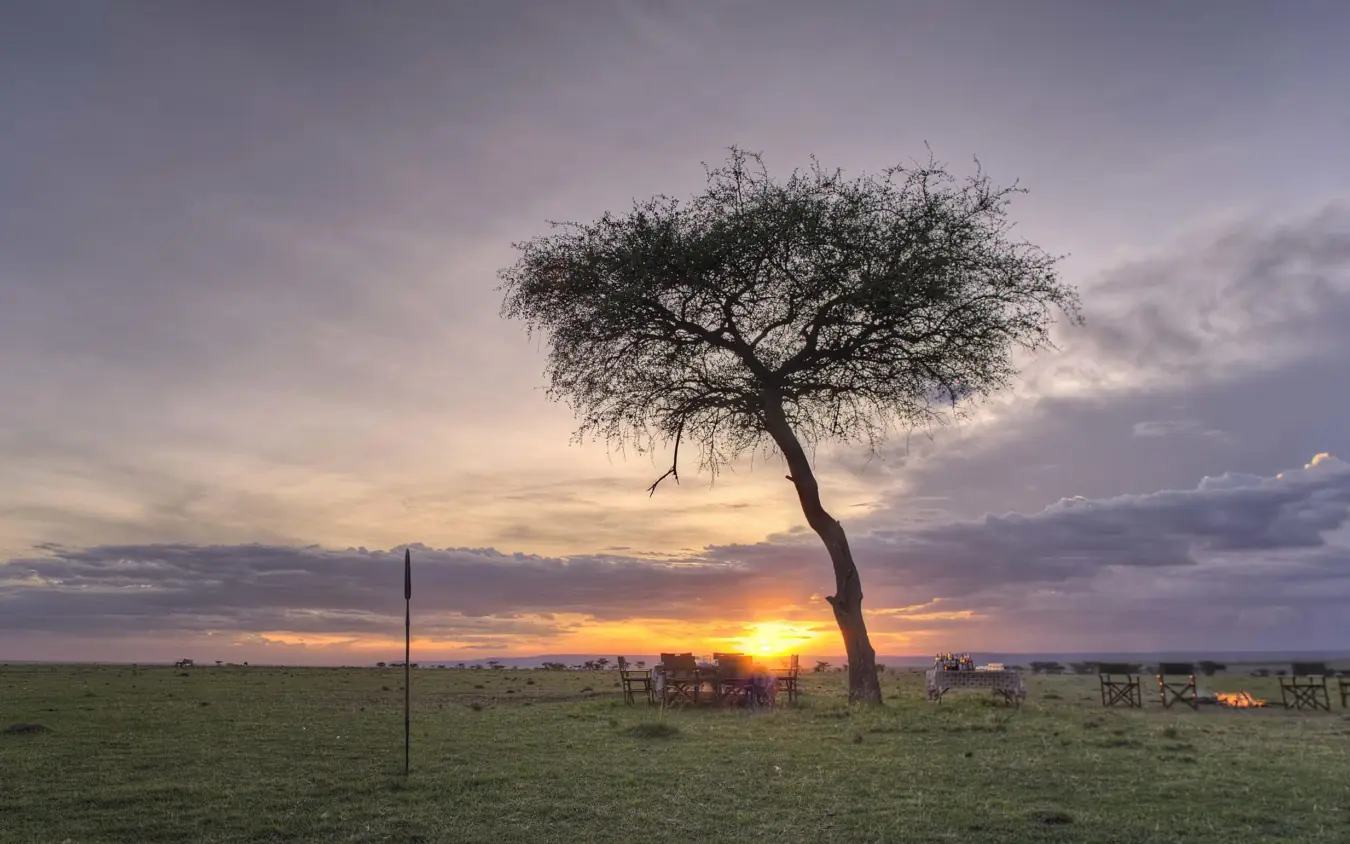 Acacia tree silhouetted against sunset over savanna grassland with camp setup, Hemingways River Camp Mara, Maasai Mara, Kenya
