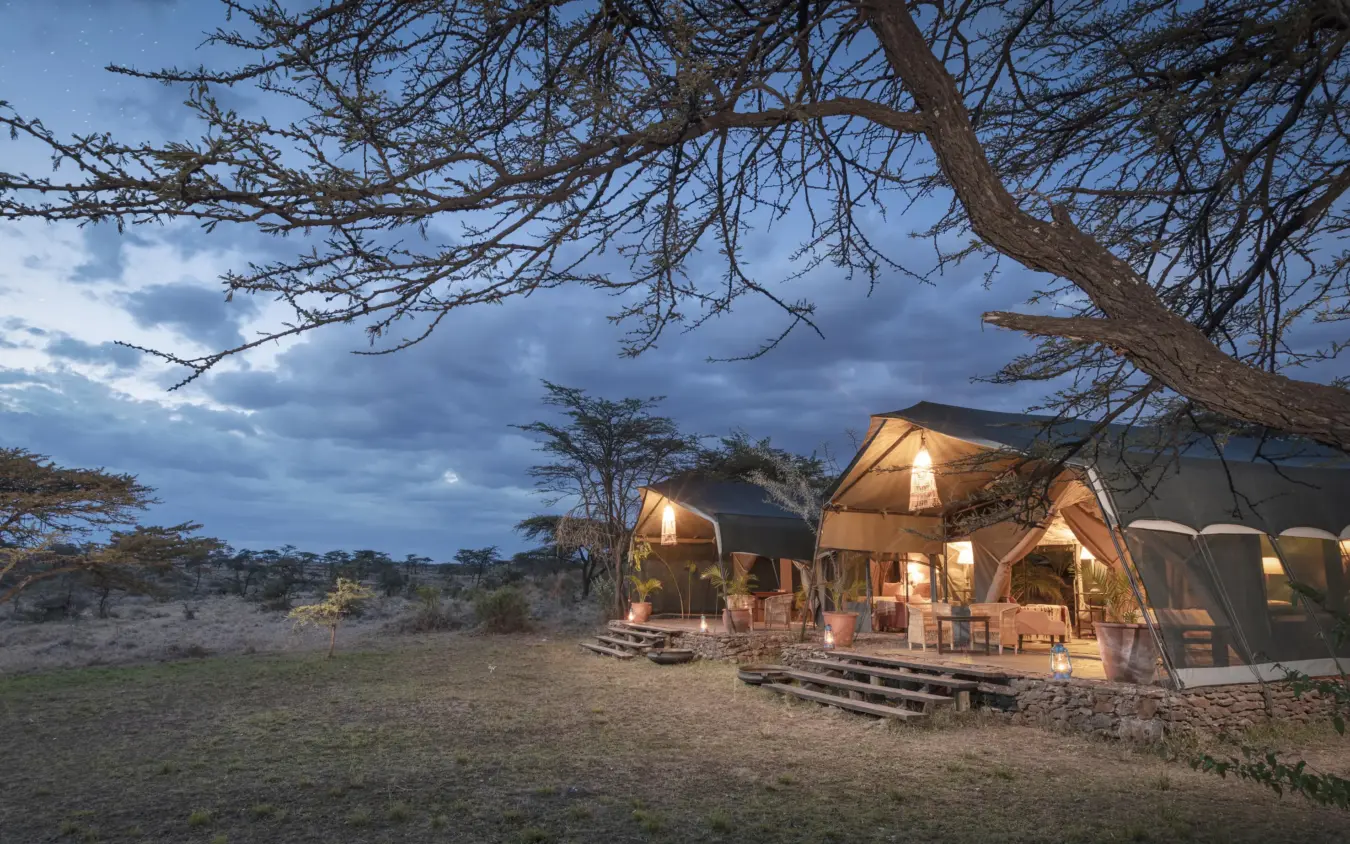 Illuminated safari camp tents under acacia tree at dusk, Hemingways River Camp Mara, Maasai Mara, Kenya