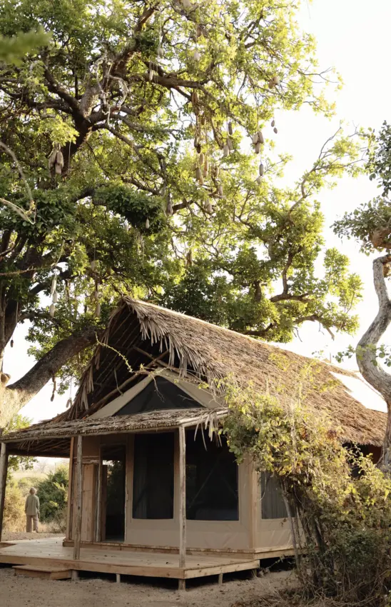 Thatched safari lodge beneath ancient trees with wooden veranda, Kigelia Ruaha, Ruaha National Park, Tanzania