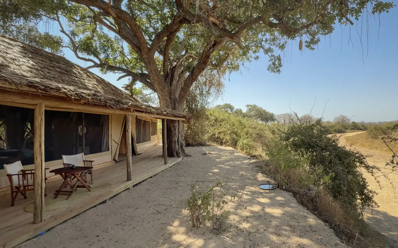 Safari camp tent with wooden deck and shade tree overlooking dry landscape, Kigelia Ruaha, Ruaha National Park, Tanzania