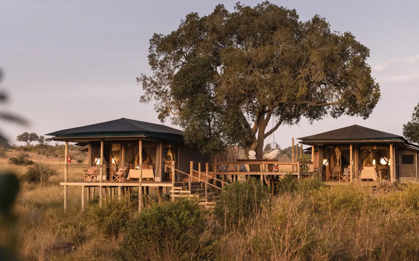 Elevated safari lodge tents with wooden decks in dry grassland under acacia tree, Kimya Kimya Camp, Maasai Mara, Kenya