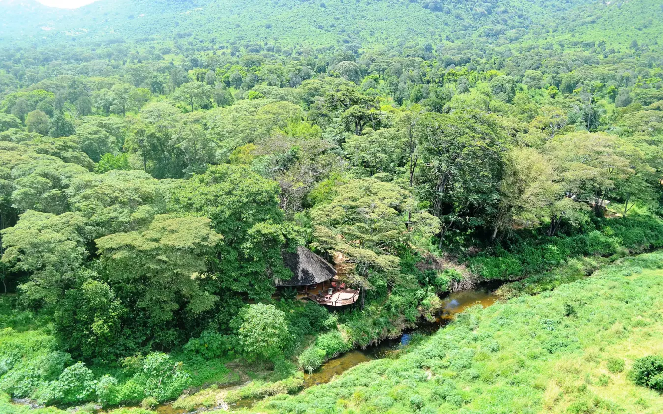 Aerial view of river winding through lush green forest, Kitich Camp, Northern Kenya, Kenya